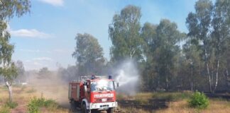 War in diesem Jahr erneut Schauplatz eines Waldbrandes: Der ehemalige Truppenübungsplatz bei Jüterbog. (Archivbild)