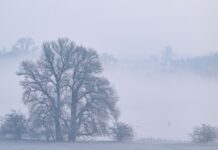 Nach einem wechselhaften Mittwoch kehrt am Donnerstag in Berlin und Brandenburg der Schnee zurück. (Archivbild)