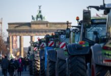 Ein Jahr nach Nach den großen Protesten 