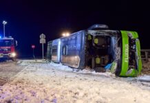 Ein Reisebus auf dem Weg nach Polen kippt auf der A11 auf die Seite. Zwei Menschen sterben. (Foto aktuell)