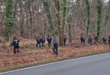 Die Polizei war an beiden Tagen mit jeweils 100 Kräften in dem Wald am Wolzensee im Einsatz. 