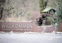 Am 11. Januar wurde der Tierpark für knapp drei Wochen geschlossen (Archivbild).