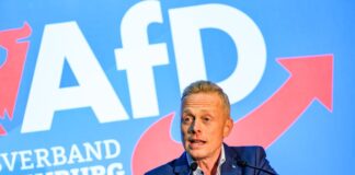 Der AfD-Direktkandidat Lars Schieske hat sich bei der Bundestagswahl in Cottbus durchgesetzt. (Archivbild)