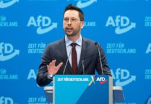 Der Brandenburger AfD-Landtagsabgeordnete Dennis Hohloch fordert eine Vertretung seiner Fraktion in der Parlamentarischen Kontrollkommission für den Verfassungsschutz. (Archivbild)