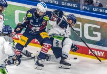 In der vergangenen Saison setzten sich die Berliner im Halbfinale gegen die Niederbayern durch.