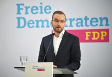 Der Brandenburger FDP-Landeschef Zyon Braun ist wiedergewählt worden (Archivbild).