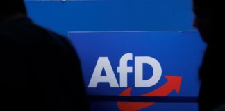 Die AfD in Brandenburg wurde vom Landesverfassungsschutz als gesichert rechtsextremistisch eingestuft. (Symbolbild)