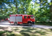 Sie müssen vorbereitet sein: Feuerwehren wollen am 10. Mai in Südbrandenburg einen Großeinsatz im Kampf gegen Waldbrände üben. (Archiv) 