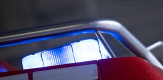 In Südbrandenburg hat ein Waldbrand die Feuerwehr an die A13 gerufen. (Symbolbild)