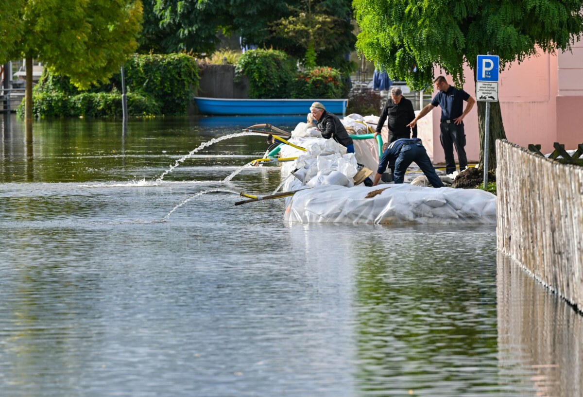 Hochwasser in Brandenburg Im September trat im Osten Brandenburgs die Oder über die Ufer und überflutete Straßen, Gärten und Keller unter anderen in Eisenhüttenstadt. (Archivbild)