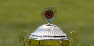 Das Objekt der Begierde: Der Brandenburger Landespokal.