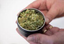 Cannabis-Abgabe gestartet: In Oranienburg können Mitglieder eines Cannabisvereins erstmals legal Gras erhalten. 