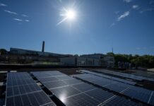 Berlin setzt die Förderung des Solarausbaus fort. (Archivbild) 