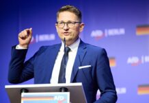 Die brandenburgische AfD will sich juristisch gegen die Hochstufung als gesichert rechtsextremistische Bestrebung wehren. (Archivbild)