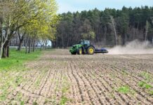 Im Mittelpunkt der Messe soll das hautnahe Erleben regionaler und moderner Landwirtschaft und ihrer Produkte stehen. (Archivbild)