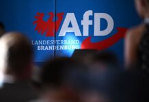 Die AfD in Brandenburg wehrt sich juristisch gegen ihre Hochstufung zur gesichert rechtsextremistischen Bestrebung. (Archivbild) 