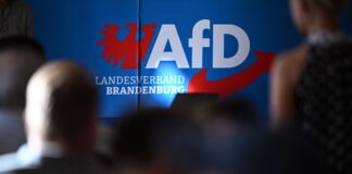Die AfD in Brandenburg wehrt sich juristisch gegen ihre Hochstufung zur gesichert rechtsextremistischen Bestrebung. (Archivbild) 