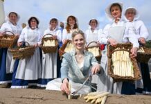 In Beelitz beginnt am Freitag ein großes Stadtfest rund um den Spargel, bei dem die Spargelkönigin nicht fehlen darf. (Archivbild) 