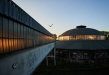 Nicht nur einige Sommervögel, auch der Maikäfer fliegt schon durch Berlin. (Archivbild)