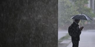Regen bestimmt die nächsten Tage das Wetter in Berlin und Brandenburg. (Symbolbild)