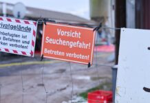 Wegen des Ausbruchs der Maul- und Klauenseuche im brandenburgischen Hönow im Januar gewährt die EU Hilfe in Höhe von 4,8 Millionen Euro für landwirtschaftliche Betriebe. (Archivbild).