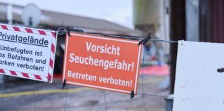 Wegen des Ausbruchs der Maul- und Klauenseuche im brandenburgischen Hönow im Januar gewährt die EU Hilfe in Höhe von 4,8 Millionen Euro für landwirtschaftliche Betriebe. (Archivbild).