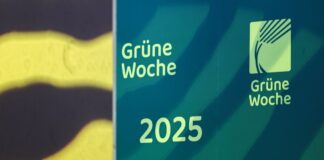 Die Grüne Woche ist jedes Jahr zu Gast auf dem Berliner Messegelände. (Archivbild)