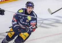 Stürmer Gabriel Fontaine verlässt die Eisbären. 