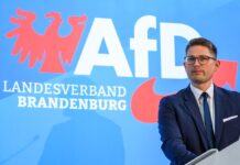 Die AfD in Brandenburg will sich gegen die Hochstufung als «gesichert rechtsextrem» mit einer Klage zur Wehr setzen. (Archivbild)