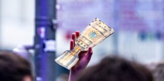 Der Pokal ist das Objekt der Begierde, auch für fünf Clubs aus Berlin und Brandenburg. 