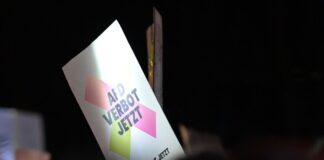 Demonstrationen sind auch in Brandenburg am Wochenende bei einem bundesweiten Aktionstag gegen Rechtsextremismus und für ein AfD-Verbot geplant. (Archivbild) 