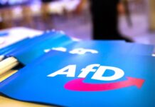 Wie umgehen mit Rechtsextremisten im Staatsdienst? Nach der neuen Einstufung der AfD ist eine Debatte entbrannt. (Symbolbild)
