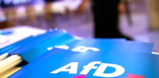 Das Bundesamt für Verfassungsschutz stuft die AfD als gesichert rechtsextremistisch ein. (Symbolbild)