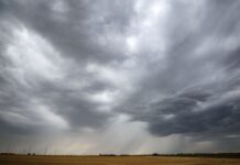 Am Wochenende werden starke Unwetter in Berlin und Brandenburg erwartet. (Archivbild)