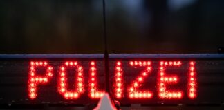 Lautes Rasenmähen am Feiertag? Die Polizei muss wegen eines Nachbarschaftsstreits ausrücken. (Symbolbild)
