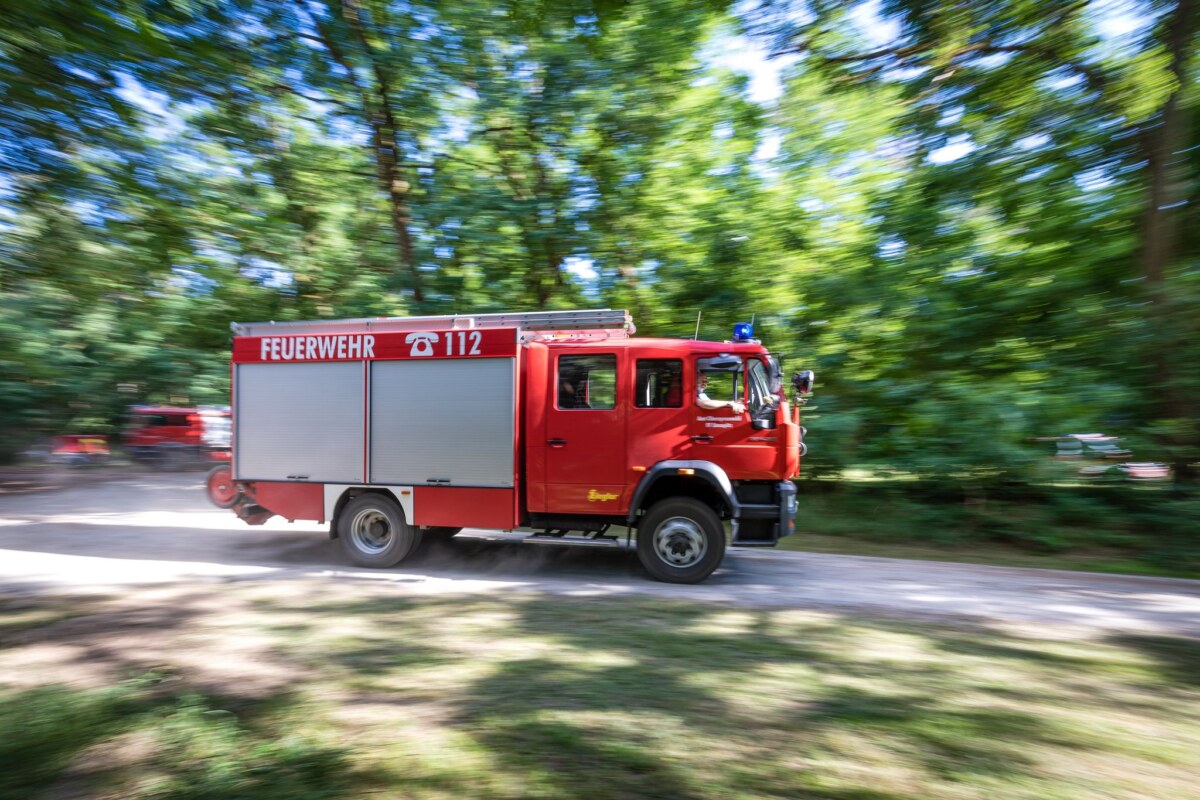 Waldbrand Das Feuer breitete sich auf einer Fläche von 2,5 Hektar aus. (Symbolbild)
