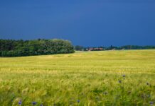 Zum Start ins Wochenende ist das Wetter in der Hauptstadtregion wechselhaft. (Archivbild)