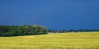 Zum Start ins Wochenende ist das Wetter in der Hauptstadtregion wechselhaft. (Archivbild)