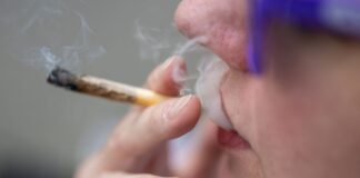 Die Mary Jane findet vom 19. bis zum 22. Juni statt. (Archivbild)