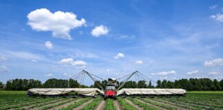 Ein sogenannter Gurkenflieger - eine Maschine mit einer Art Tragflächen - kommt im Spreewald für die Gurkenernte zum Einsatz.