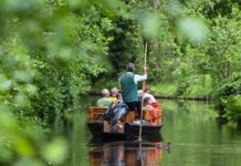Auch der Kahnbau im Spreewald gilt als immaterielles Kulturgut. (Symbolbild)