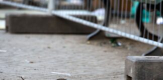 Der Berliner Bezirk Neukölln will die Rattenplage auf dem Hermannplatz stärker bekämpfen. 