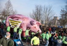Das Bündnis «Wir haben es satt» demonstriert seit Jahren bei der Agrarmesse Grüne Woche für eine Agrarwende. Jetzt machen sie eine Aktion zum Austausch zwischen Umweltaktivisten und Landwirten. (Archivbild)