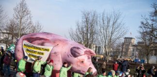 Das Bündnis «Wir haben es satt» demonstriert seit Jahren bei der Agrarmesse Grüne Woche für eine Agrarwende. Jetzt machen sie eine Aktion zum Austausch zwischen Umweltaktivisten und Landwirten. (Archivbild)