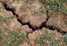 In vielen Brandenburger Landkreisen wird mehr Wasser entnommen als neu gebildet wird. (Symbolbild)