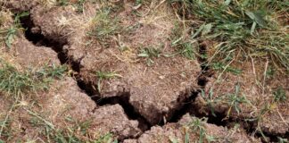 In vielen Brandenburger Landkreisen wird mehr Wasser entnommen als neu gebildet wird. (Symbolbild)