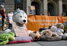 Direkt vor dem Landesparlament demonstrierten Tierschützer. 