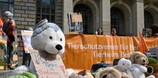 Direkt vor dem Landesparlament demonstrierten Tierschützer. 