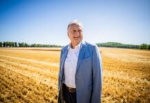 Laut Bauernpräsident Joachim Rukwied stellte das Wetter die Landwirte erneut vor große Herausforderungen.