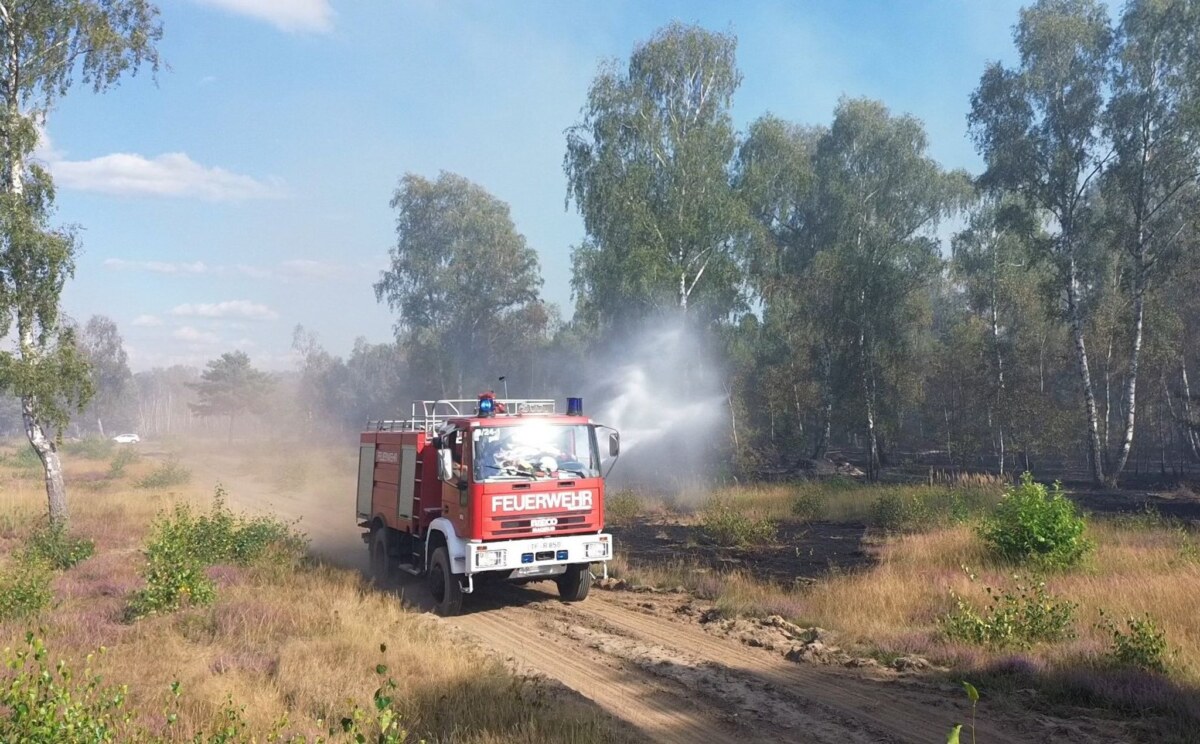 Feuerwehr bekämpft Brand Alarmzeit im Wald - die Feuerwehren müssen bei großer Trockenheit auf viele Brände gefasst sein. (Archivbild)